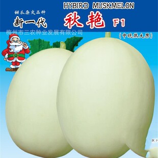 ��һ�����G����۹ϰ�ɰ�ǹϸ߮a�ļ�ˮ�������߲˷N�����l