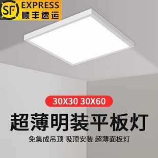 Lei Shiji Surface-Mounted 300X1200 Led Panel Light 600X600 Corridor Gypsum Ceiling Cement Ceiling Panel