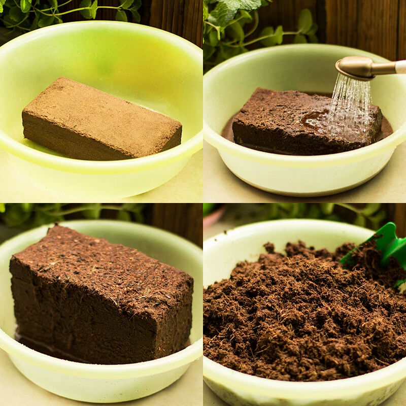 Кокосовый кирпич, питательная почва для выращивания цветов и овощей, универсальная цветочная почва, почва для посадки органических удобрений, кокосовый кирпич, кокосовый порошок, зеленые растения