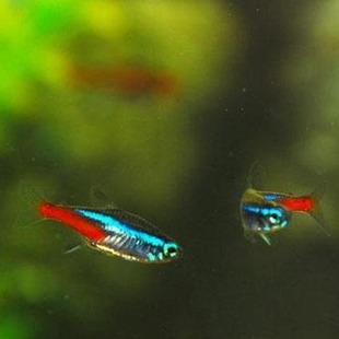 �t�G���~ �t�G�� ���~ �Ꭷ�~ �^�p�~ �����~ Ⱥ���~ �J���~