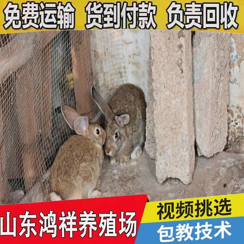 ac373cec54e736d1bc6bf72ddd504f