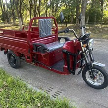 只做外贸 1.5米车厢 电动载货三轮车 EEC认证