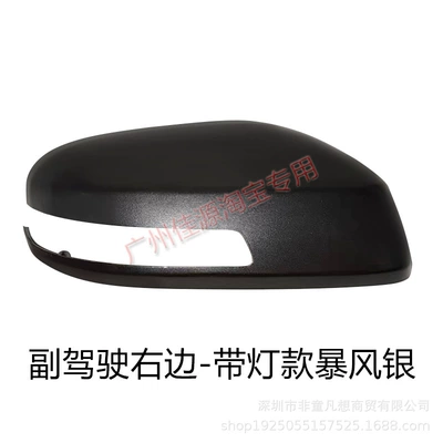 Lens Turn Signal Cover: Rear mirror/rearview mirror assembly - model-with-light-on-the-right-side-of-the-passenger-side-storm-silver-shell