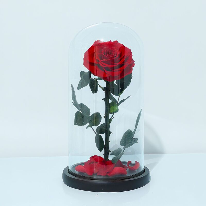 永生花玻璃罩大王子单朵玫瑰花七夕情人节女朋友生日礼物永生花|undefined