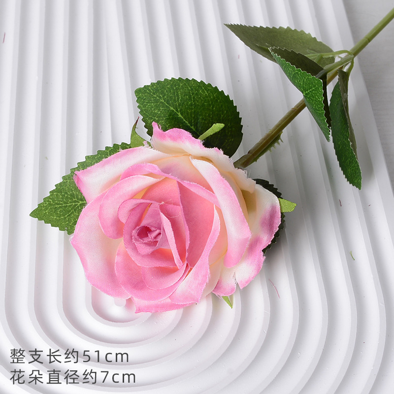 珍珠玫玫红（绢布版）
