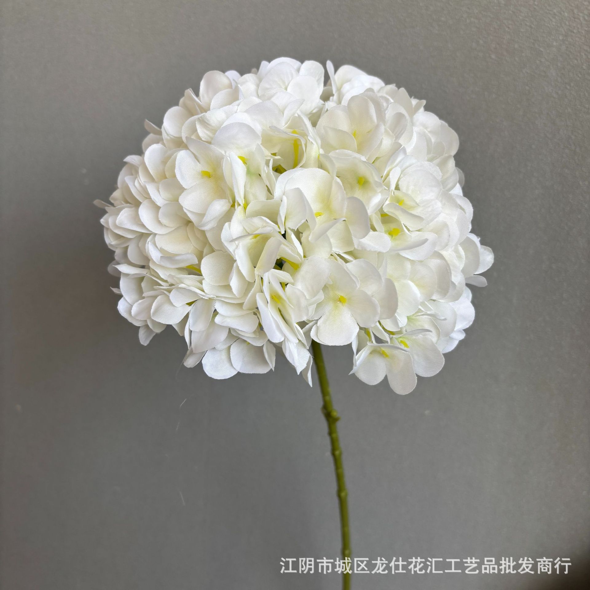 끝없는 여름