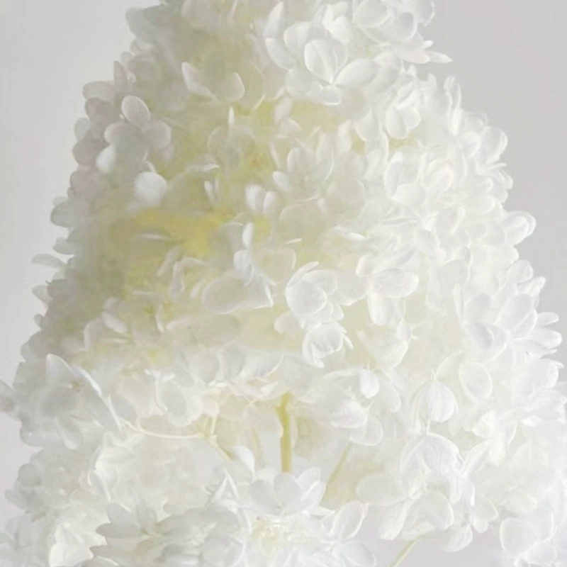 Вечный цветок A-класс деревянная гортензия цветочная головка материал ручной работы