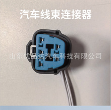 DJ7051-2.2-21汽车汽油泵线束连接器0618-6189