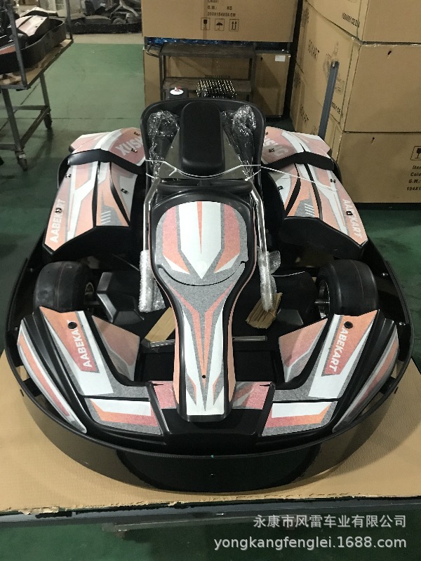 Go-Kart de Pista F1 de Hierro con Transmisión en Cadena para Parque de Atracciones image 15