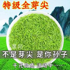 【毛尖】信阳毛尖新茶明前嫩芽毛尖茶叶绿茶罐装1
