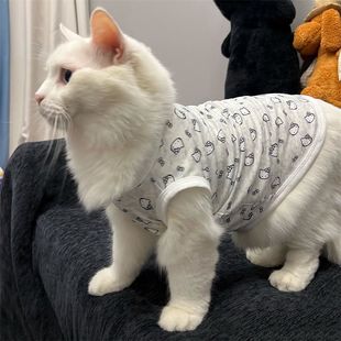 KT Hello Kitty Pet Clothes Cat Dog Summer Schnery Puppy Teddy Small Dog Bitter Panda Cat Clothes