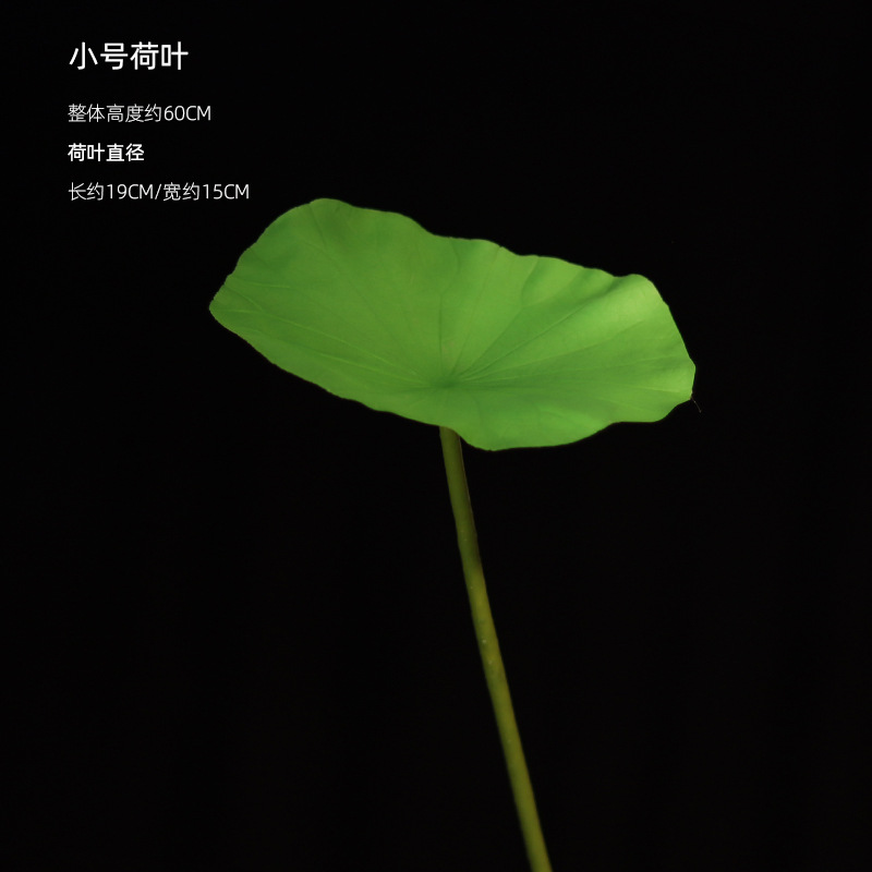 El Lotus Pequeño