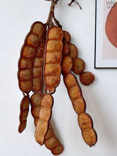 �}�����^�������vƽ������Ȼֲ������˱���֦���g�bҒ�ɻ�