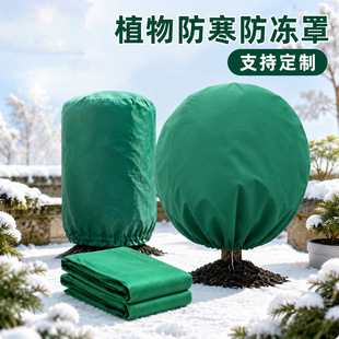 �����ֳ��K��朿��ֲ�ﱣ�o�֟o�����Ӻ��ľ�������������