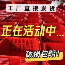 樱桃葡萄采摘手提筐批发厂家草莓塑料水果鸡蛋篮子桑葚小蓝杨梅装