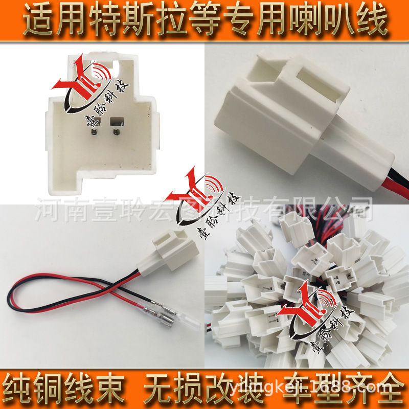 特斯拉5.jpg