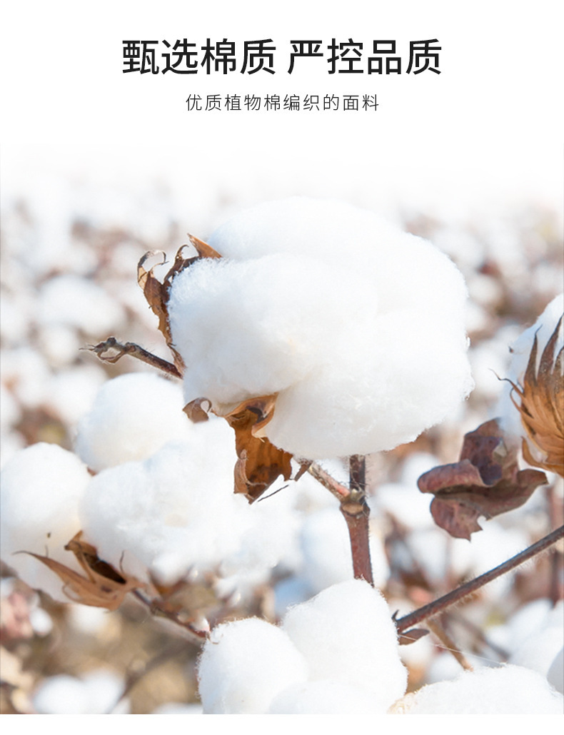 915_03.jpg?x-oss-process=image/format,png