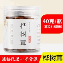 俄罗斯桦树茸桦褐孔菌白桦茸桦树泪桦树胆产地直销