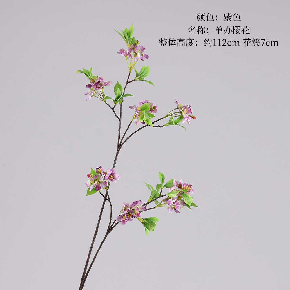 Single Sakura-Purple