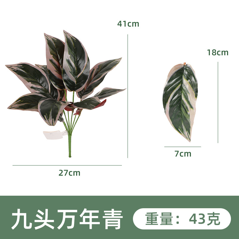YH1263-340-9 아홉 머리 에버그린 1 #