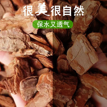 ���[�ɘ�Ƥ���@���쾰���@ͥԺ���ؘ�Ѩ�b�ĥ��Ƥ�ЙC������