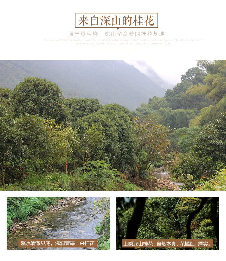 Dried Osmanthus Flowers Gui Hua Loose Golden Blossoms for Tea and Culinary Use Bulk Supply overview
