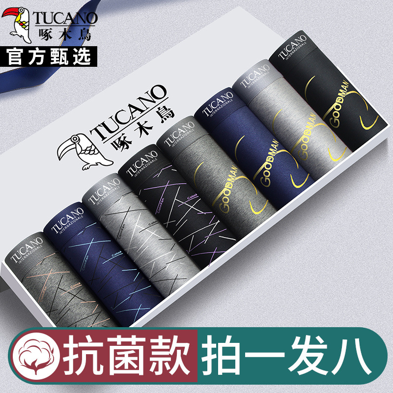 [항균 8팩] 962XT+963NR