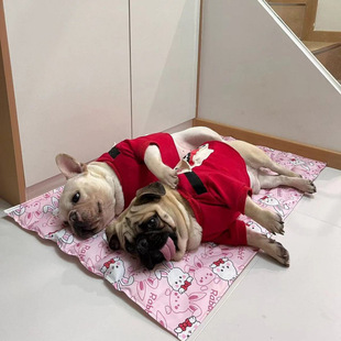 ��ͨ������|��ˮ�ɐ����͸�����m��մë��؈��ͨ�Û��|������Ʒ