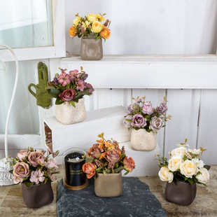 ���滨���Լٻ��������bҾӻ��@�����҃��Ɍ���Y�b[��