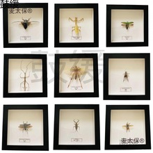 �����x�젝�����x���x�˱����x��ڔ[̨��ţ�Y�����s������̫��