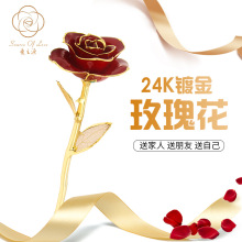 24k镀金玫瑰金叶子红玫瑰 伴手礼圣诞节情人节母亲节创意礼品