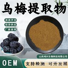 乌梅提取物10:1水溶性乌梅粉食品级原料乌梅萃取粉固体饮料现货