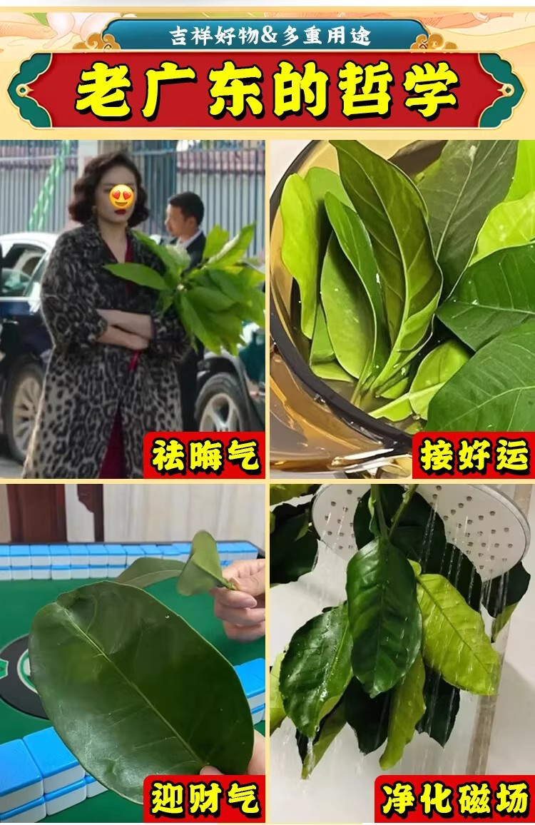 天然古法碌柚叶线香招财碌柚香家用立香客厅净化空气熏香持久摆件-阿里巴巴