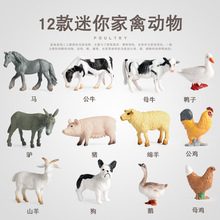 �ƽ̷������ģ������������С�����u������ţ�{���ϻ��R��ɽ��