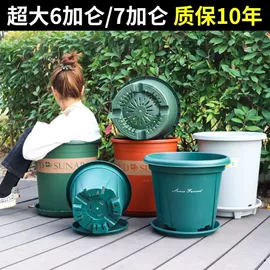 盆栽;花盆容器;盆景