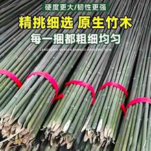 竹竿菜园搭架蔬菜黄瓜番茄豆角架杆竹篱笆栅栏小竹子细竹竿爬藤架