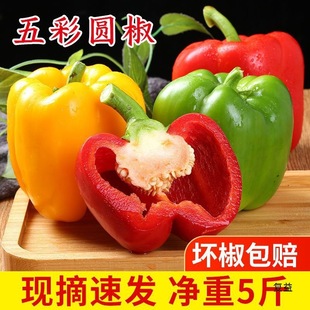 ���r�ʽ������𽷈A����ʽ����ӽ��t���S��ˮ����̫�ս��G������