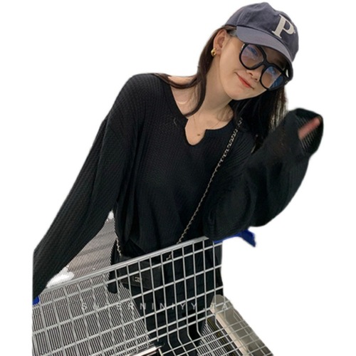 2025 Autumn New Honeycomb Sweatshirt for Women, Thin Version Korean Style Loose Student Long-Sleeve T-Shirt for Women, Instagram Trendy