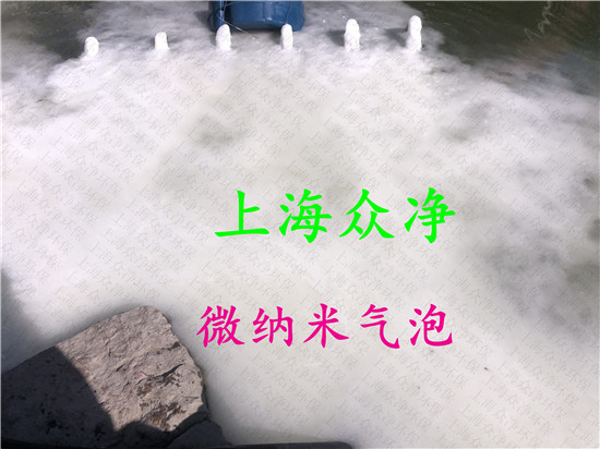 纳漂浮式微纳米气泡发生装置 移动式微纳米气泡机 碳酸机