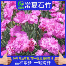 ��ͥ�@ˇʯ���ѻ��ܹ��̷N�ѳ���ʯ���^�G�������ݻ����ͻ���