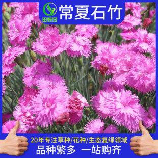 ��ͥ�@ˇʯ���ѻ��ܹ��̷N�ѳ���ʯ���^�G�������ݻ����Ͷ�ɫ