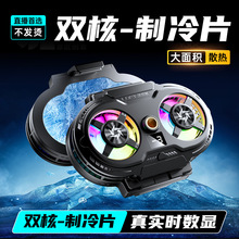 ˫���ֻ�ɢ�����뵼��֧��������������ֱ���ֻ��뵼������SL75