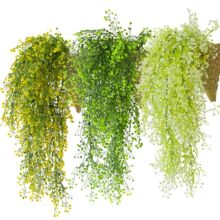 ���R�d����ڒ컨 ���R���ڒ� �Ғ젝ֲ��ҾӼ�ͥ �҃������b�