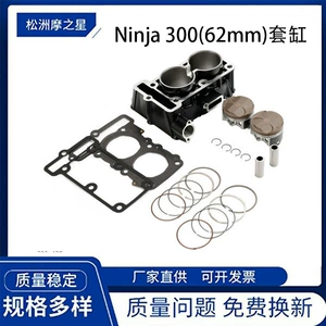 Kawasaki Ninja300 Ex300 Versys-X 300 Piston üçün Motosiklet Silindri