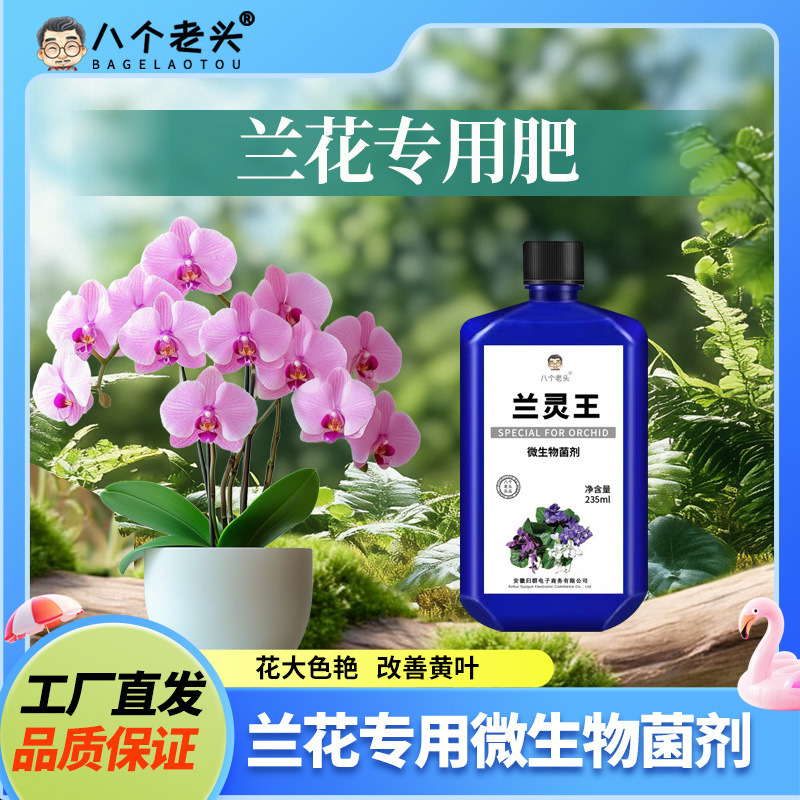 Special Fertilizer for Orchids, Phalaenopsis and Clivia Fertilizer, Orchid Nutrient Solution, Special Fertilizer for Phalaenopsis Special Fertilizer for Orchids, Phalaenopsis and Clivia Fertilizer, Orchid Nutrient Solution, Special Fertilizer for Phalaenopsis