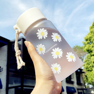 Factory wholesale small Daisy plastic cup for men and women students casual Cup Net red frosted transparent scented tea cup gift