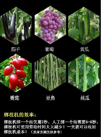 O1CN010p9VDk1xNuROZhEia_!!2214