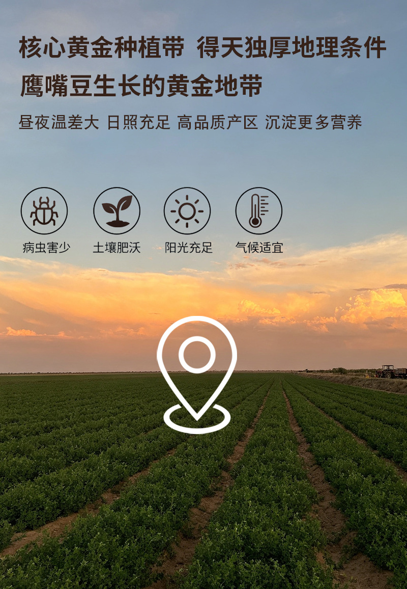 Roasted Chickpea Powder Ying Zui Dou Fen Instant Whole Grain Flour 500g Bulk preparation
