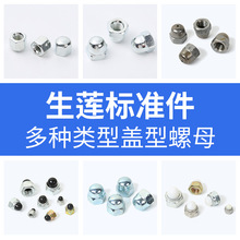 盖型螺母铁六角盖帽镀锌尼龙塑料 圆头六角盖母紧固金属装饰盖帽