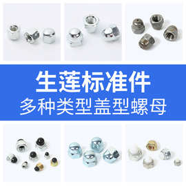 盖型螺母铁六角盖帽镀锌尼龙塑料 圆头六角盖母紧固金属装饰盖帽